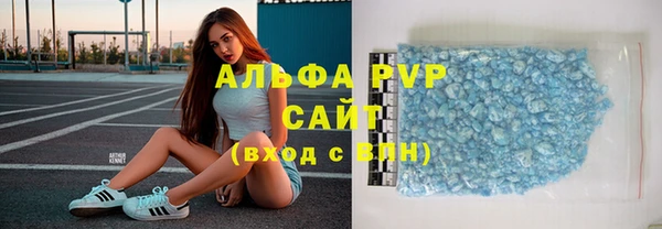 спайс Корсаков