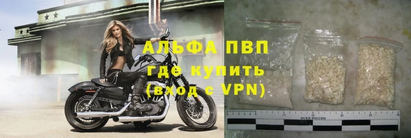 спайс Корсаков
