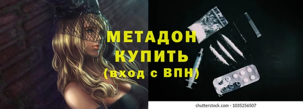 прущие грибы Костерёво