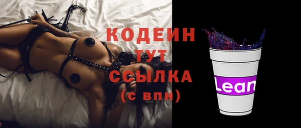 спайс Корсаков