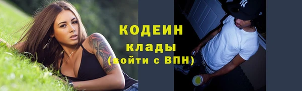 прущие грибы Костерёво