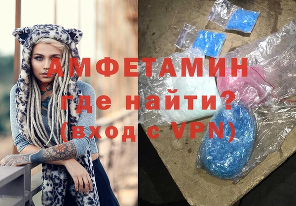 прущие грибы Костерёво