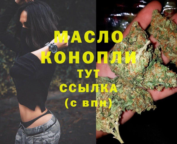 спайс Корсаков