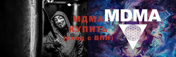 прущие грибы Костерёво